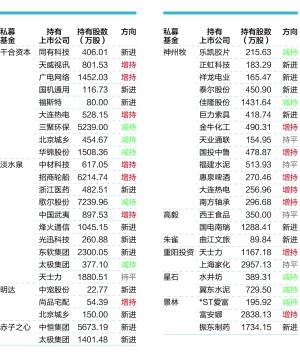 十明星私募Q3调仓:淡水泉看好5G 王亚伟新进天威视讯