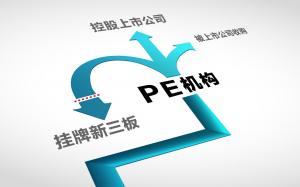 PE机构注入上市公司 资本化之路前景难测