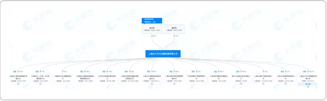 曾以100亿身家登福布斯的戴志康，投案后没有想到的后果