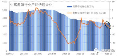 深圳道谊投资——历史的龙门：2018和2019