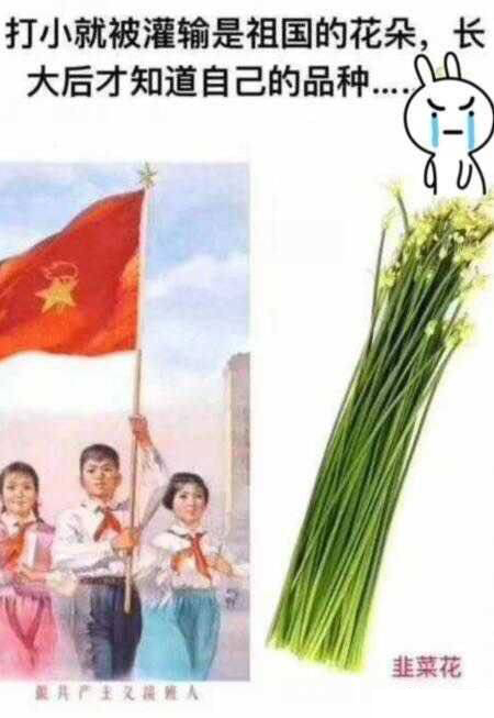 感恩节，我想对A股说……