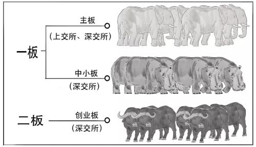 还没懂？赶紧上车