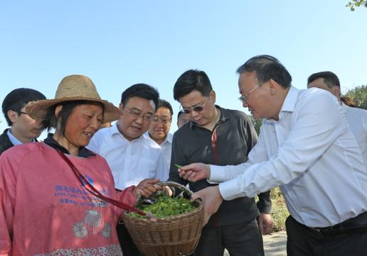 中国人寿董事长王滨一行赴丹江口市郧西县开展定点扶贫调研