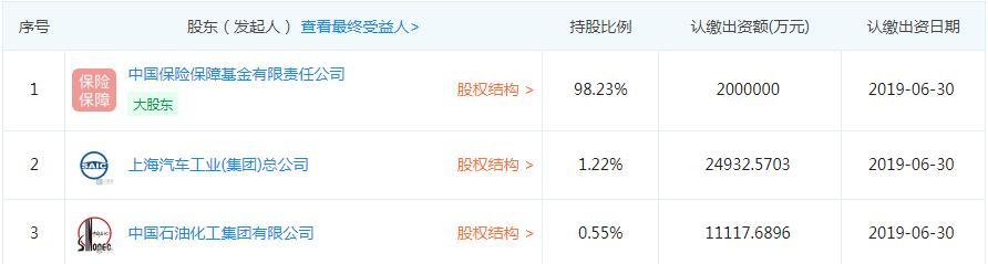 大家保险注资203.6亿开业 安邦保险接管组组长何肖锋任法定代表人