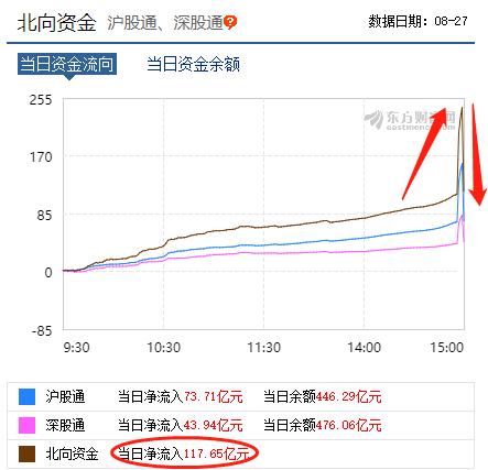 洋韭菜被埋伏了！