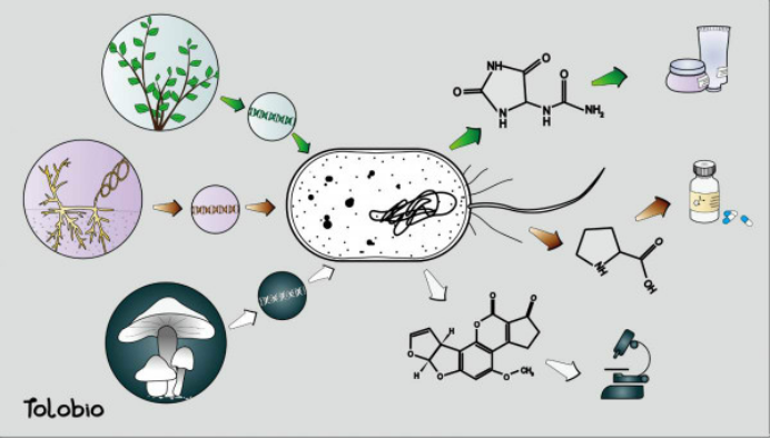 拥有CRISPR诊断底层方法学独家专利，吐露港生物获千万元战略融资