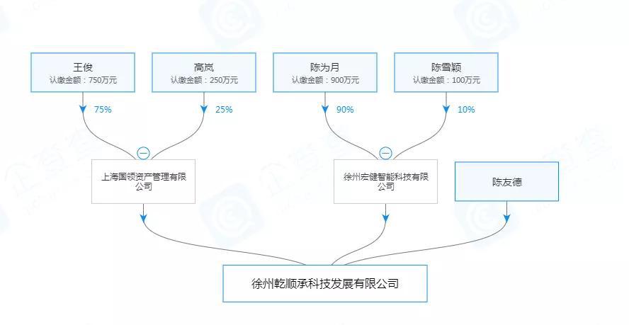 *ST天马21.13%股权拍卖落定：控股股东、实控人将变更 国领资管间接持股