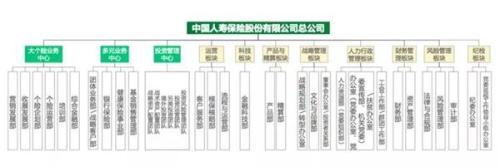 头部寿险组织架构大阅兵 升级改造剑指个险战略