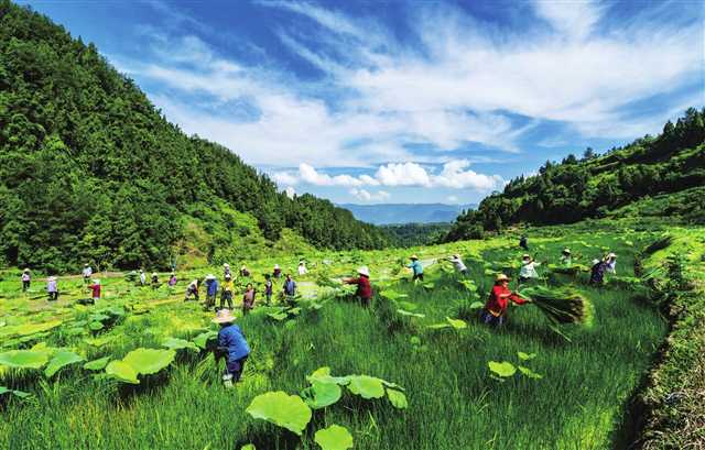 工行重庆市分行扎根基层决战决胜脱贫攻坚