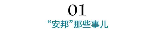 “安邦”走了“大家”来了 你的保单还好吗？