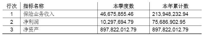 久隆财险2019年保险业务收入2.14亿元 投资收益率5.01%