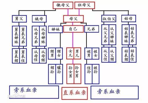 车险亲属回避！车险承保理赔风控上下游都受影响