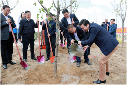 中国太保建起三江源生态保护屏障 获颁青海省国土绿化特别贡献奖