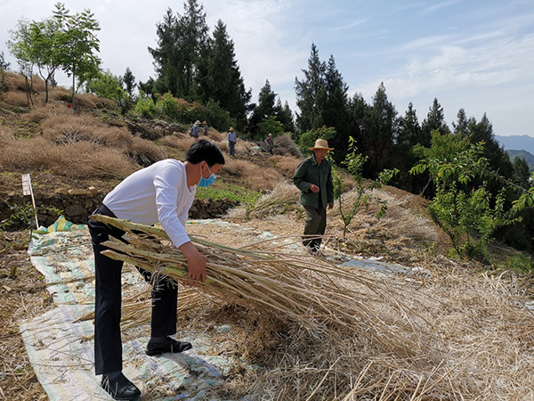 脱贫攻坚的国寿力量 贫困村里守初心 这个第一书记干成了两件事