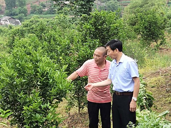 脱贫攻坚的国寿力量 贫困村里守初心 这个第一书记干成了两件事