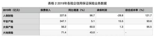 信用保证保险：行业的“增长点”还是“引爆点”？