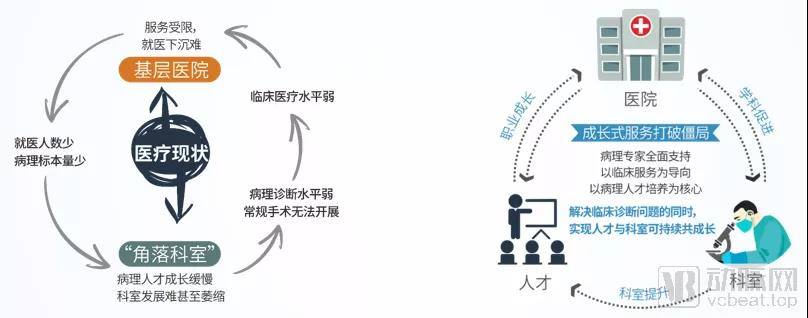 【首发】华银健康完成6亿元C轮融资，赋能基层医院成病理领域头部企业