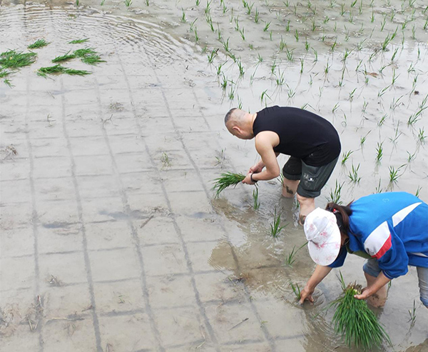 一心一意抓扶贫 真帮实帮解民忧 重庆三峡银行驻村“第一书记”扶贫纪实