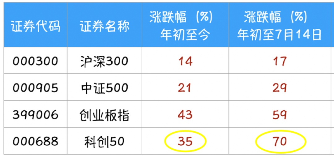 当红炸子鸡来了