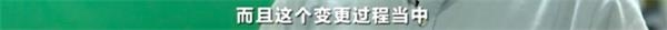 这家培训机构违约 却拒绝退钱？有人被坑超10万元！