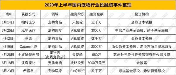 每5秒一场宠物直播 萌宠短视频催生新经济“养活”铲屎官