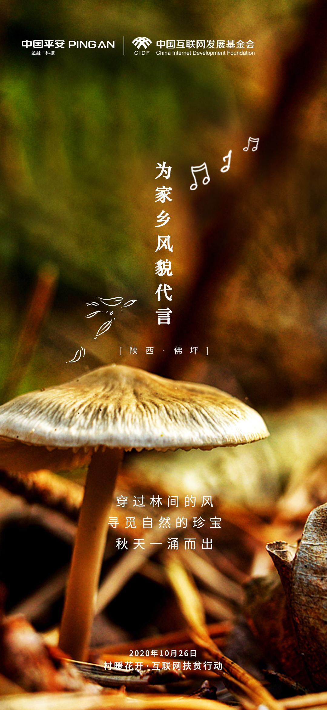 “产业+消费”联动扶贫 “村暖花开·互联网扶贫行动”陕西佛坪站即将启动