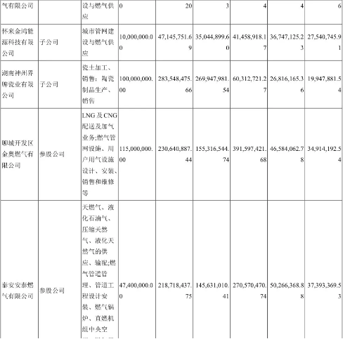 神秘国储能源与陈义和的天然气王国