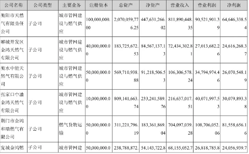 神秘国储能源与陈义和的天然气王国